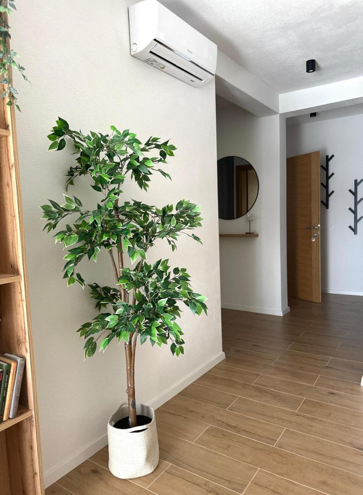 Apartmani Palada Poljica  Kültér fotó
